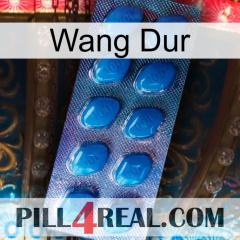 Hard Wang viagra1